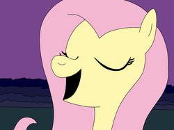 Size: 2048x1530 | Tagged: safe, artist:didgereethebrony, fluttershy, g4, audience, crowd, night, singing, stage