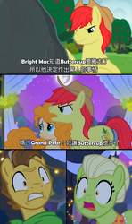 Size: 1216x2048 | Tagged: safe, edit, edited screencap, screencap, bright mac, grand pear, granny smith, pear butter, earth pony, pony, g4, the perfect pear, caption, chinese, female, male, mare, stallion, wide eyes, young grand pear, young granny smith, younger
