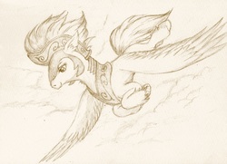 Size: 983x712 | Tagged: safe, artist:daisymane, classical hippogriff, hippogriff, g4, my little pony: the movie, female, flying, helmet, monochrome, sketch, smiling, solo