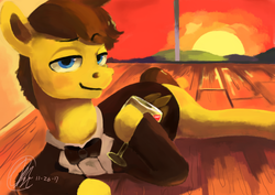 Size: 1754x1240 | Tagged: safe, artist:toisanemoif, oc, oc only, oc:paper study, pony, banned from equestria daily, clothes, glass, male, stallion, sun, wine glass