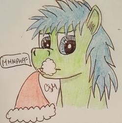 Size: 955x960 | Tagged: safe, artist:rapidsnap, oc, oc only, oc:rapidsnap, pony, christmas, grumpy, hat, holiday, santa hat, solo, traditional art