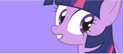 Size: 400x176 | Tagged: safe, artist:dm29, twilight sparkle, g4, female, purple background, simple background, smiling, solo