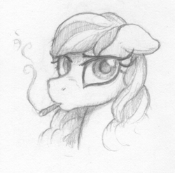 Size: 904x888 | Tagged: safe, artist:selenophile, oc, oc only, pony, bust, lidded eyes, portrait, smoking, solo