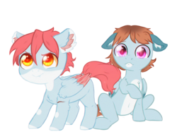 Size: 3492x2748 | Tagged: safe, artist:rizzych, oc, oc only, oc:curtain fire, oc:raging fire, pegasus, pony, colored wings, colt, ear fluff, floppy ears, high res, male, protecting, scar, simple background, smol, transparent background
