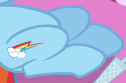 Size: 599x394 | Tagged: safe, screencap, rainbow dash, pegasus, pony, g4, ponyville confidential, cropped, cutie mark, female, hooves, legs, mare, pictures of legs, solo