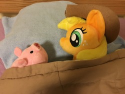 Size: 4032x3024 | Tagged: safe, applejack, earth pony, pig, pony, 28 pranks later, g4, 4de, applejack's bed partner, bed, cute, defictionalization, irl, meme, parody, photo, pillow, plushie, scene interpretation, scene parody, sleeping, waddles