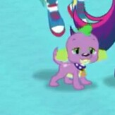 Size: 163x163 | Tagged: safe, screencap, rainbow dash, sci-twi, spike, spike the regular dog, twilight sparkle, dog, equestria girls, g4, my little pony equestria girls: better together, converse, cropped, looking at you, lowres, male, puppy, shoes, smiling