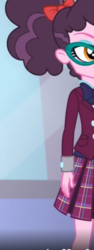 Size: 216x576 | Tagged: safe, screencap, varsity trim, a fine line, equestria girls, g4, my little pony equestria girls: better together, background human, clothes, cropped, crystal prep academy uniform, female, glasses, school uniform, skirt