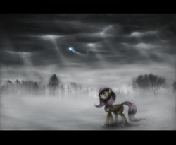 Size: 1600x1310 | Tagged: safe, artist:ventious, fluttershy, pegasus, pony, g4, cloud, cloudy, female, fog, forest, letterboxing, light, snow, solo, winter