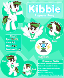 Size: 2486x3015 | Tagged: safe, artist:kibbie, oc, oc only, pegasus, pony, colt, cute, foal, high res, male, neckerchief, reference sheet
