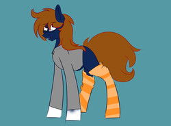 Size: 4750x3500 | Tagged: safe, artist:darkart, oc, oc only, oc:spec steele, clothes, draft horse, glasses, hoodie, socks, solo, striped socks, thigh highs