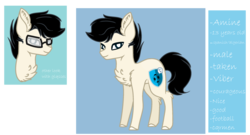 Size: 2601x1403 | Tagged: safe, artist:theapplebeauty, oc, oc only, oc:amine, earth pony, pony, colt, glasses, male, reference sheet, simple background, solo, transparent background