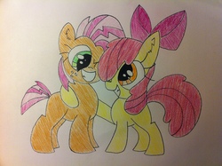 Size: 2592x1936 | Tagged: safe, artist:anonymousnekodos, apple bloom, babs seed, earth pony, pony, g4, hug, one eye closed, smiling, traditional art