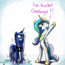 Size: 1200x1200 | Tagged: safe, artist:anticular, princess celestia, princess luna, alicorn, pony, ask sunshine and moonbeams, g4, bipedal, cold, dialogue, female, freezing, happy, ice bucket challenge, mare, open mouth, royal sisters, shivering, water, wet, wet mane