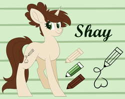 Size: 2880x2268 | Tagged: safe, artist:beashay, oc, oc only, oc:shay, pony, unicorn, female, high res, mare, solo