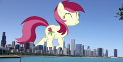 Size: 1000x507 | Tagged: safe, roseluck, earth pony, pony, g4, chicago, eyes closed, giant pony, happy, irl, macro, photo, ponies in real life, show accurate