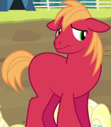 Size: 428x490 | Tagged: safe, edit, edited screencap, screencap, big macintosh, earth pony, pony, brotherhooves social, g4, accessory-less edit, cropped, floppy ears, macabetes, male, missing accessory, missing cutie mark, missing freckles, nervous, stallion
