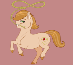 Size: 2000x1780 | Tagged: safe, artist:ganashiashaka, oc, oc only, oc:freckle trick, earth pony, pony, colt, lasso, male, offspring, parent:big macintosh, parent:sugar belle, parents:sugarmac, pink background, rope, simple background, solo