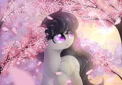 Size: 2000x1400 | Tagged: safe, artist:mitralexa, octavia melody, earth pony, pony, g4, female, flower petals, looking back, looking up, mare, missing accessory, open mouth, outdoors, signature, solo, tree, walking