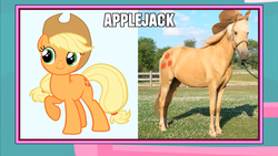 Size: 1366x768 | Tagged: safe, applejack, g4, image macro, live action applejack, meme, wat