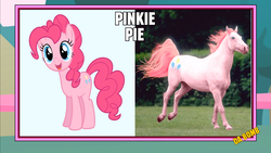 Size: 1366x768 | Tagged: safe, pinkie pie, horse, g4, hoers, image macro, irl, irl horse, meme, photo, photoshop, pronking, recolored hoers, wat