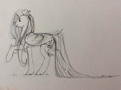 Size: 1024x765 | Tagged: safe, artist:magical-marauder, fluttershy, pegasus, pony, g4, female, folded wings, looking at something, looking away, monochrome, raised hoof, sketch, smiling, solo, standing, traditional art, wings