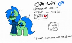 Size: 512x308 | Tagged: safe, artist:chillywilly, oc, oc only, oc:chilly willy, pony, unicorn, clothes, gem, jewelry, necklace, reference sheet, sweater