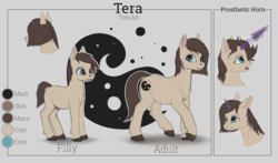 Size: 1920x1129 | Tagged: safe, artist:difetra, oc, oc only, oc:tera bit, female, filly, prosthetic horn, prosthetics, reference sheet, solo