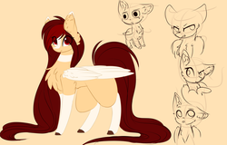 Size: 1024x657 | Tagged: dead source, safe, artist:php146, oc, oc only, oc:shiroi, pegasus, pony, blank flank, chest fluff, reference sheet, solo
