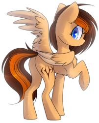 Size: 1632x2017 | Tagged: safe, artist:starlyfly, oc, oc only, oc:aerion featherquill, pegasus, pony, chest fluff, cutie mark, female, flank, looking back, mare, one wing out, raised hoof, raised leg, rear view, simple background, solo, transparent background, underhoof