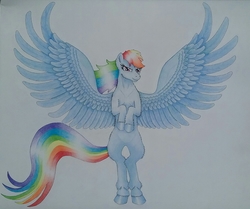 Size: 1724x1440 | Tagged: safe, artist:maximustimaeus, rainbow dash, pony, g4, bipedal, female, solo, spread wings, traditional art, wings