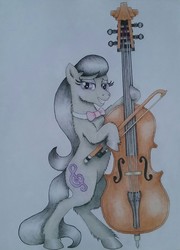 Size: 1394x1932 | Tagged: safe, artist:maximustimaeus, octavia melody, earth pony, pony, g4, bow (instrument), cello, cello bow, female, musical instrument, solo, traditional art
