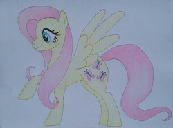 Size: 1932x1440 | Tagged: safe, artist:maximustimaeus, fluttershy, pony, g4, colored pencil drawing, female, solo, spread wings, traditional art, wings