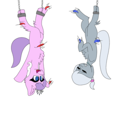 Size: 3000x3000 | Tagged: safe, artist:icicle-niceicle-1517, artist:thepon7, diamond tiara, silver spoon, earth pony, pony, g4, adorabullies, bondage, chest fluff, collaboration, colored, cute, eyes closed, feather, female, fetish, fluffy, front hoof tickling, hanging, high res, hoof fetish, hoof tickling, jewelry, mare, missing cutie mark, necklace, older, open mouth, shackles, simple background, sketch, suspended, tiara, tickle torture, tickling, transparent background, upside down