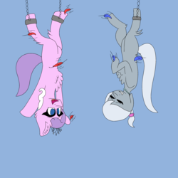 Size: 3000x3000 | Tagged: safe, artist:icicle-niceicle-1517, artist:thepon7, diamond tiara, silver spoon, earth pony, pony, g4, adorabullies, blue background, bondage, chest fluff, collaboration, colored, cute, eyes closed, feather, female, fetish, fluffy, front hoof tickling, hanging, high res, hoof fetish, hoof tickling, jewelry, mare, missing cutie mark, necklace, older, open mouth, shackles, simple background, sketch, suspended, tiara, tickle torture, tickling, upside down