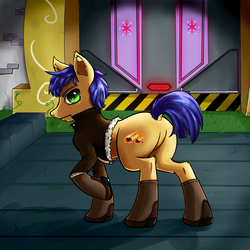 Size: 2000x2000 | Tagged: safe, artist:xrei, oc, oc only, oc:meteor shower, earth pony, pony, alternate universe, boots, castle of the royal pony sisters, clothes, cutie mark, dark, ear fluff, featureless crotch, future, high res, jacket, leather jacket, male, shoes, short hair, stallion