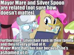 Size: 796x597 | Tagged: safe, artist:flash equestria photography, edit, mayor mare, silver spoon, g4, female, headcanon, impact font, mother and child, mother and daughter, non-dyed mayor, parent:mayor mare, text, text edit