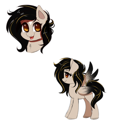 Size: 3000x3000 | Tagged: safe, artist:confetticakez, oc, oc only, pegasus, pony, bust, female, high res, mare, reference, simple background, sketch, solo, white background