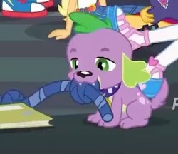 Size: 411x355 | Tagged: safe, screencap, spike, spike the regular dog, dog, equestria girls, equestria girls series, g4, the finals countdown, converse, cropped, cute, male, paws, puppy, shoes, toy