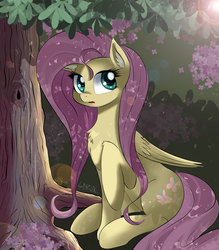 Size: 3500x4000 | Tagged: safe, artist:alesarox, fluttershy, pegasus, pony, g4, cute, female, looking at you, mare, raised hoof, shyabetes, sitting, solo, tree