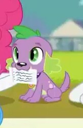 Size: 163x250 | Tagged: safe, screencap, spike, spike the regular dog, dog, equestria girls, equestria girls series, g4, the finals countdown, card, cropped, male, paws, puppy