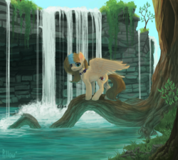 Size: 1999x1795 | Tagged: safe, artist:graypillow, oc, oc only, pegasus, pony, collar, female, forest, looking at you, mare, scenery, solo, spread wings, tree, tree roots, waterfall, wings