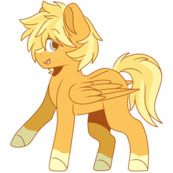 Size: 2048x2048 | Tagged: safe, artist:cinnamontee, oc, oc only, oc:chester, pegasus, pony, high res, male, simple background, solo, stallion, transparent background