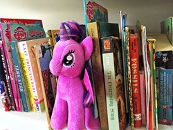 Size: 3128x2346 | Tagged: safe, artist:dmcordell, twilight sparkle, alicorn, pony, g4, book, crossover, high res, irl, photo, plushie, solo, that pony sure does love books, the neverending story, twilight sparkle (alicorn), ty