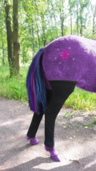 Size: 576x1024 | Tagged: safe, twilight sparkle, horse, g4, butt, hoers, irl, irl horse, leg warmers, outdoors, photo, photoshop, plot, recolored hoers