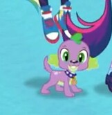 Size: 162x166 | Tagged: safe, screencap, spike, spike the regular dog, dog, equestria girls, g4, my little pony equestria girls: better together, converse, cropped, looking at you, male, paws, puppy, shoes, smiling