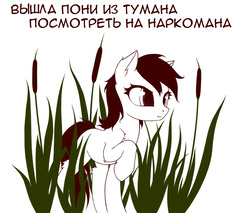 Size: 1000x850 | Tagged: safe, artist:rainbow, oc, oc only, earth pony, pony, cattails, cute, cyrillic, ear fluff, female, leg fluff, limited palette, mare, raised hoof, reeds, russian, shoulder fluff, simple background, solo, translated in the comments, white background