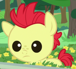 Size: 474x430 | Tagged: safe, screencap, bright mac, earth pony, pony, g4, the perfect pear, baby, baby pony, brightabetes, cropped, cute, foal, male, solo