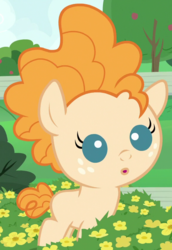 Size: 580x845 | Tagged: safe, screencap, pear butter, earth pony, pony, g4, season 7, the perfect pear, :o, baby, baby pony, cropped, cute, female, foal, mare, open mouth, pearabetes, solo