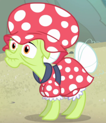Size: 617x720 | Tagged: safe, screencap, granny smith, earth pony, pony, g4, leap of faith, clothes, female, mare, outfit, solo, swimsuit
